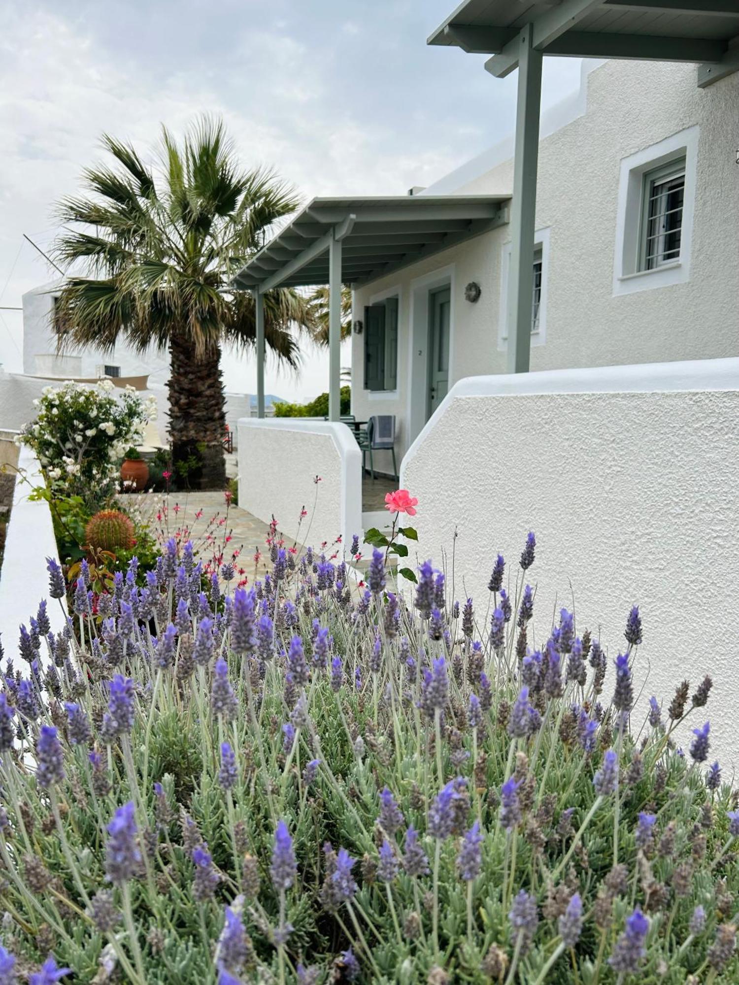 Chaido Apartment Plaka (Milos)