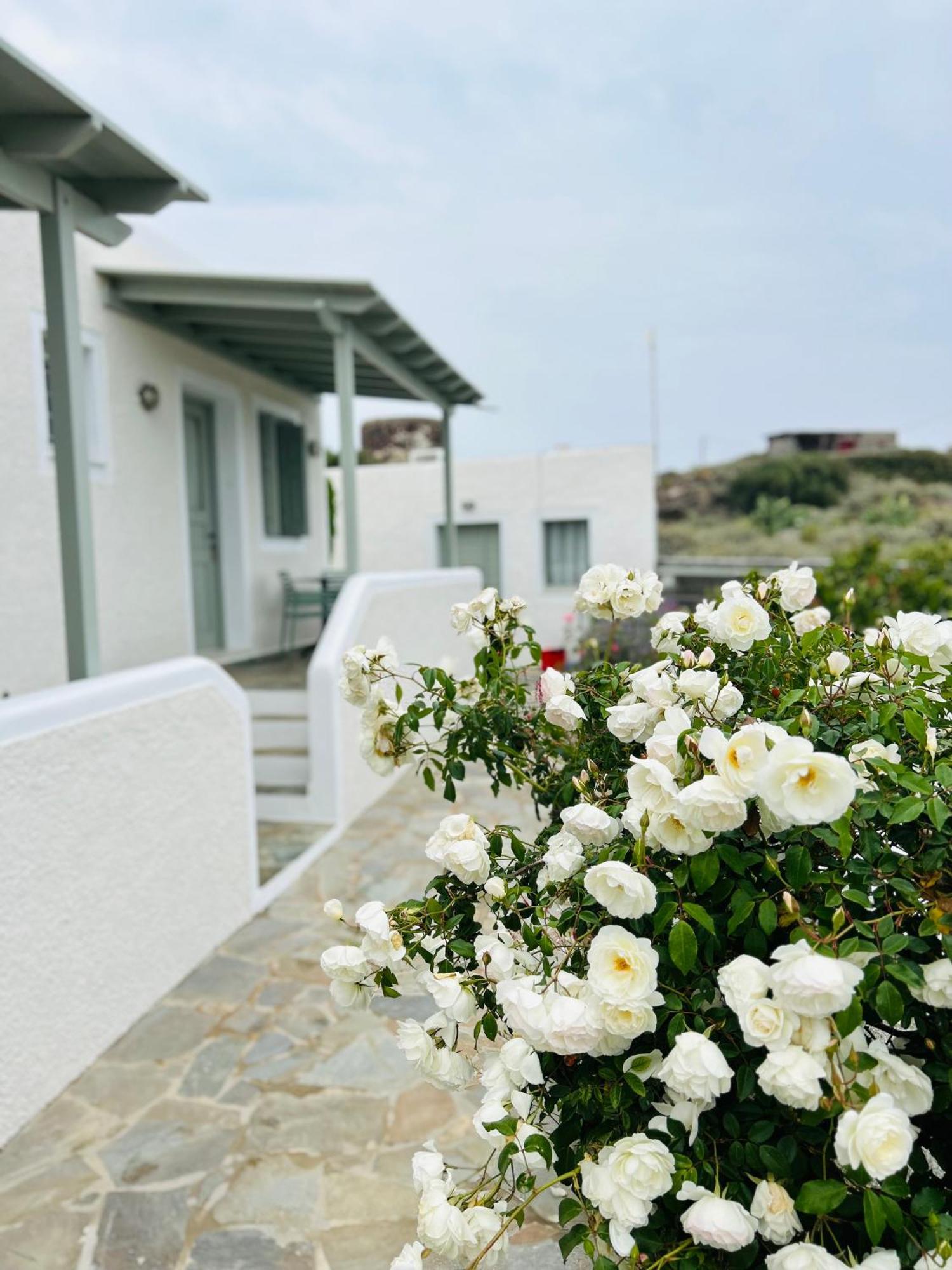 Chaido Plaka (Milos)